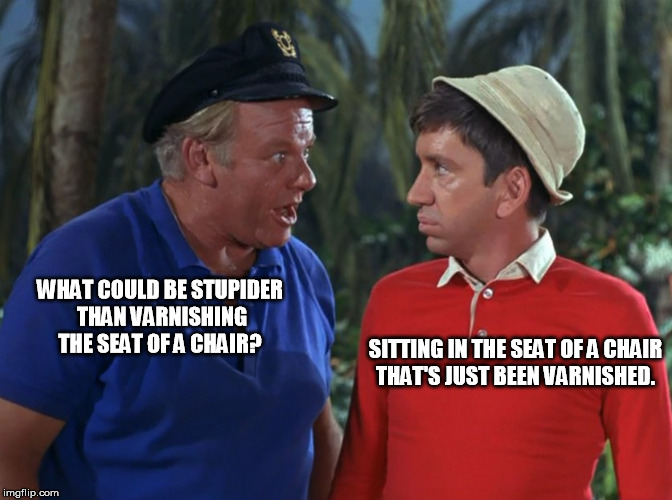 gilligan | WHAT COULD BE STUPIDER THAN VARNISHING THE SEAT OF A CHAIR? SITTING IN THE SEAT OF A CHAIR THAT'S JUST BEEN VARNISHED. | image tagged in gilligan | made w/ Imgflip meme maker