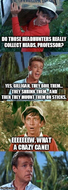 Gilligans's Island | DO THOSE HEADHUNTERS REALLY COLLECT HEADS, PROFESSOR? YES, GILLIGAN. THEY BOIL THEM... THEY SHRINK THEM... AND THEN THEY MOUNT THEM ON STICKS. EEEEEEEW, WHAT A CRAZY CANE! | image tagged in gilligans's island | made w/ Imgflip meme maker