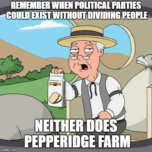 Pepperidge Farm Doesn't Remember | REMEMBER WHEN POLITICAL PARTIES COULD EXIST WITHOUT DIVIDING PEOPLE; NEITHER DOES PEPPERIDGE FARM | image tagged in pepperidge farm remembers | made w/ Imgflip meme maker