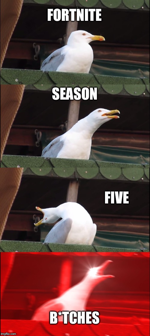 Inhaling Seagull Meme | FORTNITE; SEASON; FIVE; B*TCHES | image tagged in memes,inhaling seagull | made w/ Imgflip meme maker