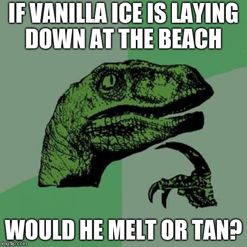 Philosoraptor Meme | IF VANILLA ICE IS LAYING DOWN AT THE BEACH; WOULD HE MELT OR TAN? | image tagged in memes,philosoraptor | made w/ Imgflip meme maker