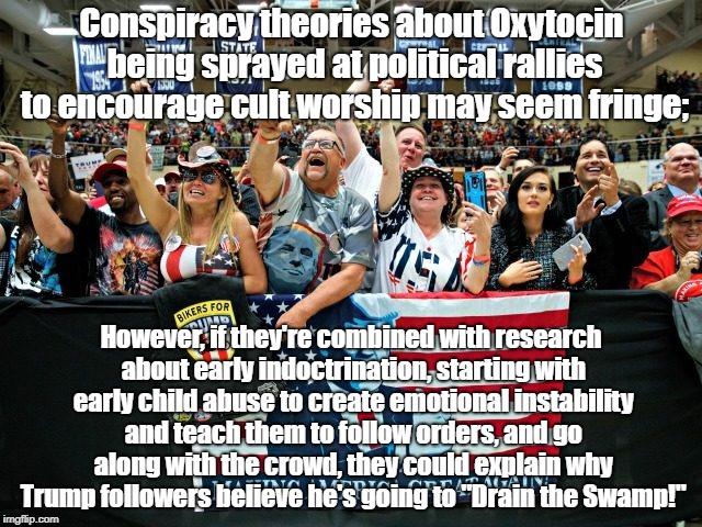 If absurd Conspiracy Theories don't explain Trump supporters what does? | Conspiracy theories about Oxytocin being sprayed at political rallies to encourage cult worship may seem fringe;; However, if they're combined with research about early indoctrination, starting with early child abuse to create emotional instability and teach them to follow orders, and go along with the crowd, they could explain why Trump followers believe he's going to "Drain the Swamp!" | image tagged in conspiracy theory,oxytocin,donald trump,indoctrination,politics | made w/ Imgflip meme maker