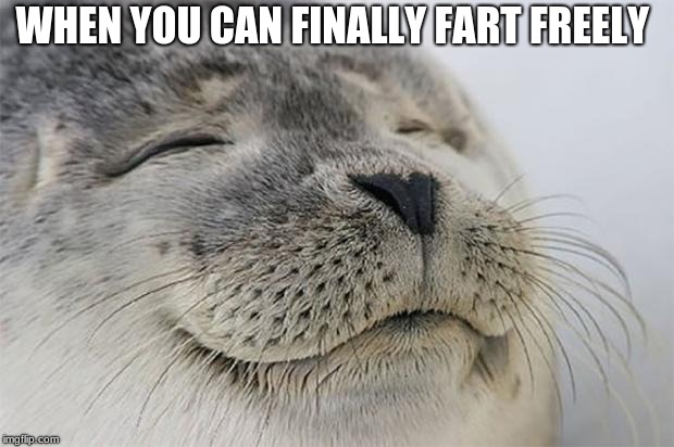 Satisfied Seal | WHEN YOU CAN FINALLY FART FREELY | image tagged in memes,satisfied seal | made w/ Imgflip meme maker