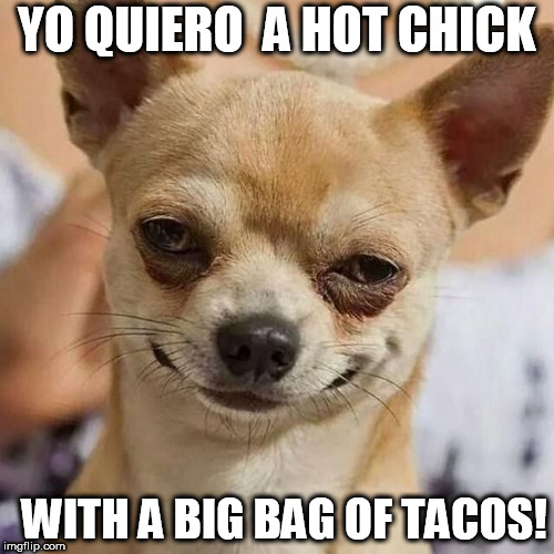 YO QUIERO  A HOT CHICK WITH A BIG BAG OF TACOS! | made w/ Imgflip meme maker