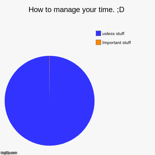 How to manage your time. ;D | Important stuff, usless stuff | image tagged in funny,pie charts | made w/ Imgflip chart maker