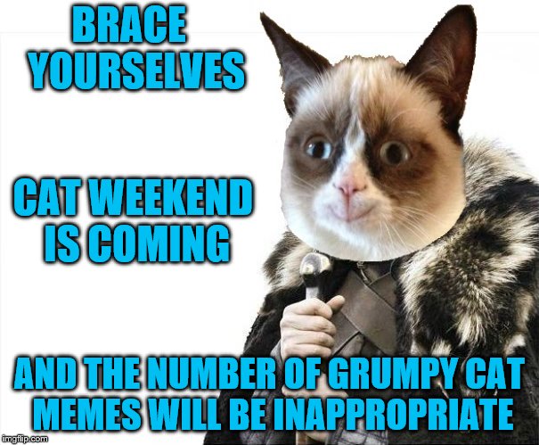 Round two! - Announcing Cat Weekend, May 11-13, a Landon_the_memer, 1forpeace, & JBmemegeek event! | BRACE  YOURSELVES; CAT WEEKEND IS COMING; AND THE NUMBER OF GRUMPY CAT MEMES WILL BE INAPPROPRIATE | image tagged in memes,grumpy cat happy,brace yourselves x is coming,cats,cat weekend | made w/ Imgflip meme maker