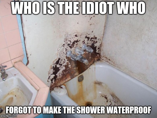 Who Would Do Such A Thing | WHO IS THE IDIOT WHO; FORGOT TO MAKE THE SHOWER WATERPROOF | image tagged in unwaterproof shower,shower,idiots | made w/ Imgflip meme maker