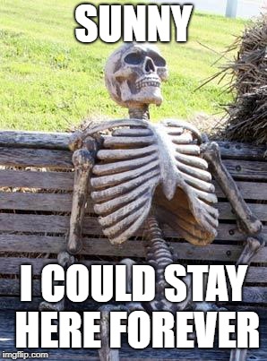 Waiting Skeleton | SUNNY; I COULD STAY HERE FOREVER | image tagged in memes,waiting skeleton | made w/ Imgflip meme maker