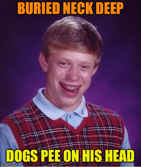 Bad Luck Brian Meme | BURIED NECK DEEP DOGS PEE ON HIS HEAD | image tagged in memes,bad luck brian | made w/ Imgflip meme maker