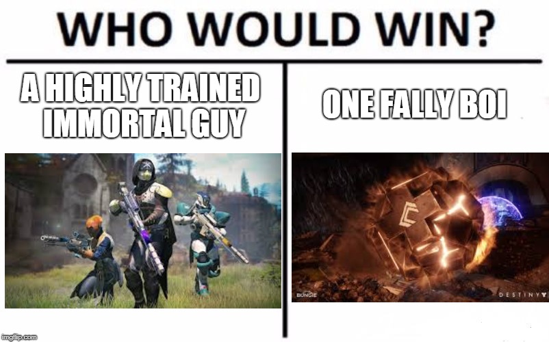 Who Would Win? Meme | ONE FALLY BOI; A HIGHLY TRAINED IMMORTAL GUY | image tagged in memes,who would win | made w/ Imgflip meme maker