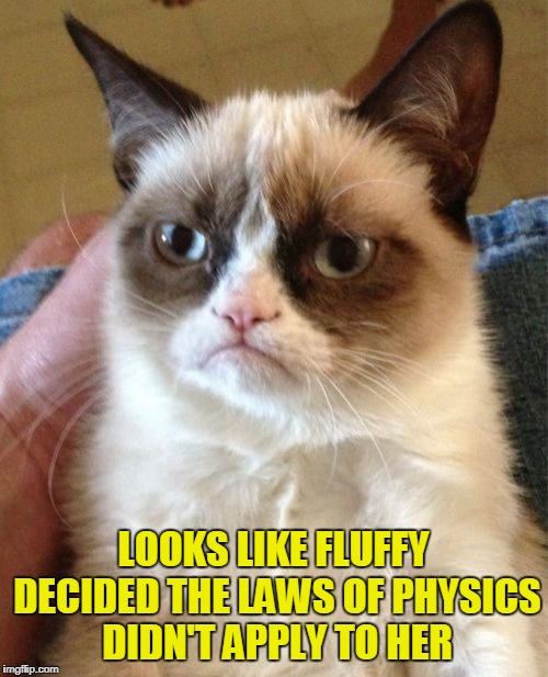 Grumpy Cat Meme | LOOKS LIKE FLUFFY DECIDED THE LAWS OF PHYSICS DIDN'T APPLY TO HER | image tagged in memes,grumpy cat | made w/ Imgflip meme maker