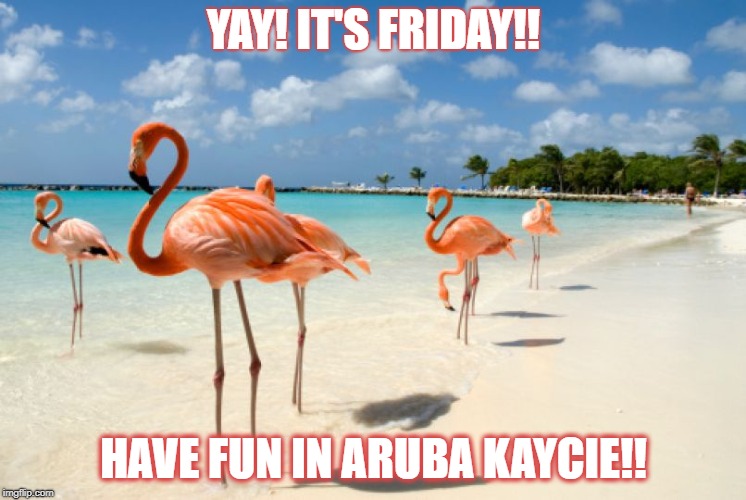 YAY! IT'S FRIDAY!! HAVE FUN IN ARUBA KAYCIE!! | image tagged in yay it's friday | made w/ Imgflip meme maker