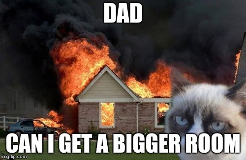 Burn Kitty Meme | DAD; CAN I GET A BIGGER ROOM | image tagged in memes,burn kitty,grumpy cat | made w/ Imgflip meme maker
