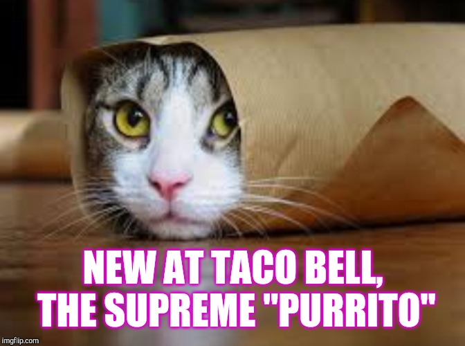 It's Cat Weekend! Submit your cat memes and tag them "cat weekend" May 11-13, a Landon_the_memer, 1forpeace, & JBmemegeek event! | NEW AT TACO BELL, THE SUPREME "PURRITO" | image tagged in cat weekend,funny cats,cats,jbmemegeek,1forpeace | made w/ Imgflip meme maker