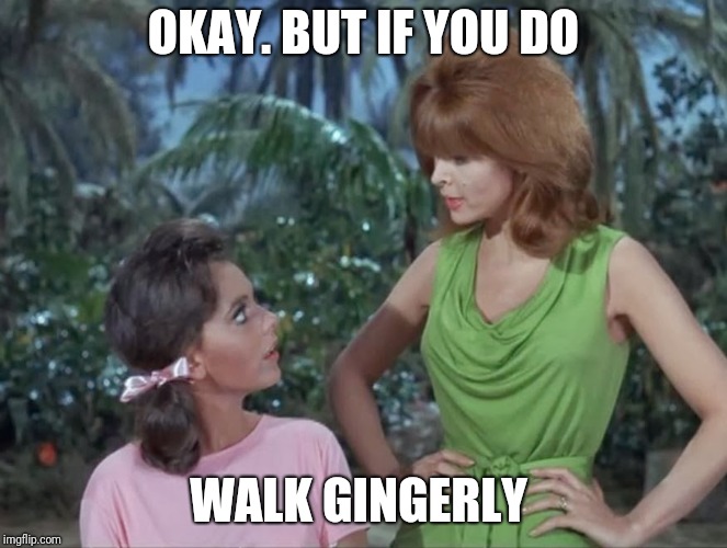 Mary Ann and Ginger | OKAY. BUT IF YOU DO; WALK GINGERLY | image tagged in mary ann and ginger | made w/ Imgflip meme maker