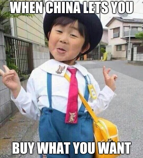 niña china | WHEN CHINA LETS YOU; BUY WHAT YOU WANT | image tagged in nia china | made w/ Imgflip meme maker