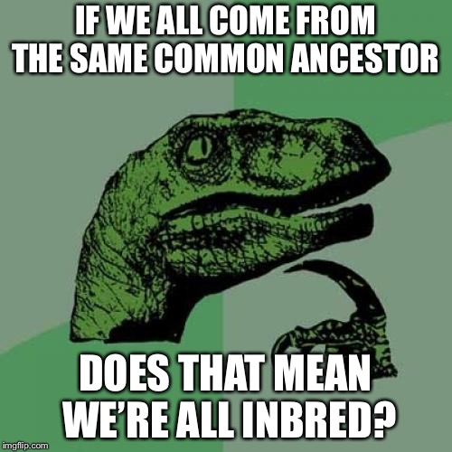 This will make you rethink having a family | IF WE ALL COME FROM THE SAME COMMON ANCESTOR; DOES THAT MEAN WE’RE ALL INBRED? | image tagged in memes,philosoraptor | made w/ Imgflip meme maker