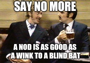 Say no more | SAY NO MORE; A NOD IS AS GOOD AS A WINK TO A BLIND BAT | image tagged in say no more | made w/ Imgflip meme maker