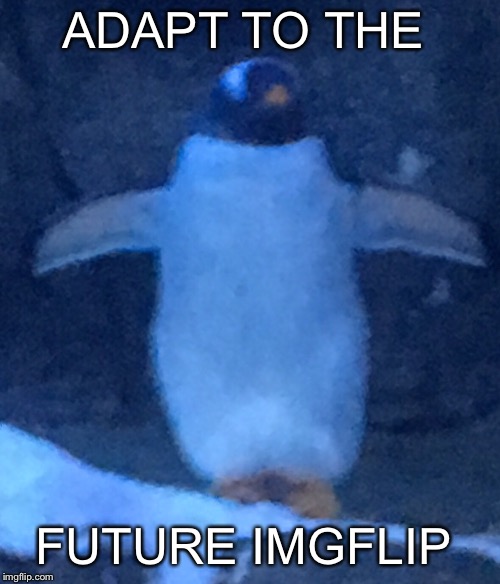 Impact must go  | ADAPT TO THE; FUTURE IMGFLIP | image tagged in change,imgflip,future | made w/ Imgflip meme maker