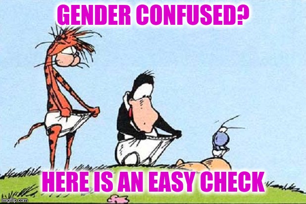 It's quick and easy | GENDER CONFUSED? HERE IS AN EASY CHECK | image tagged in gender | made w/ Imgflip meme maker