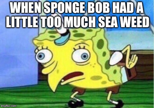 Mocking Spongebob Meme | WHEN SPONGE BOB HAD A LITTLE TOO MUCH SEA WEED | image tagged in memes,mocking spongebob | made w/ Imgflip meme maker