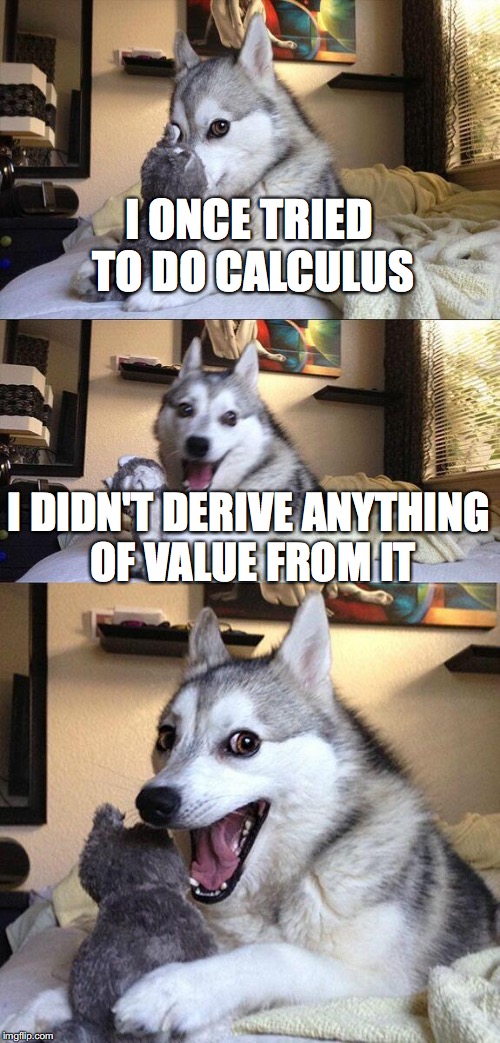 I am actually good at calculus tho | I ONCE TRIED TO DO CALCULUS; I DIDN'T DERIVE ANYTHING OF VALUE FROM IT | image tagged in memes,bad pun dog,calculus,puns,pun,derivatives | made w/ Imgflip meme maker