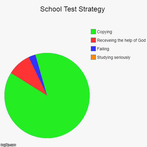 School Test Strategy | Studying seriously, Failing, Receveing the help of God, Copying | image tagged in funny,pie charts | made w/ Imgflip chart maker