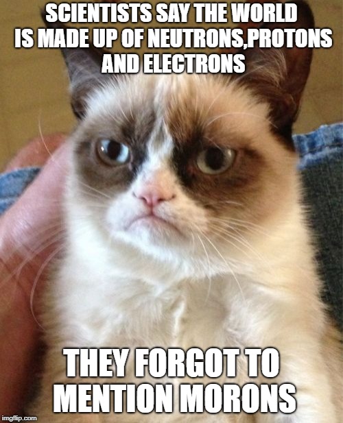 Grumpy Cat | SCIENTISTS SAY THE WORLD IS MADE UP OF NEUTRONS,PROTONS AND ELECTRONS; THEY FORGOT TO MENTION MORONS | image tagged in memes,grumpy cat | made w/ Imgflip meme maker