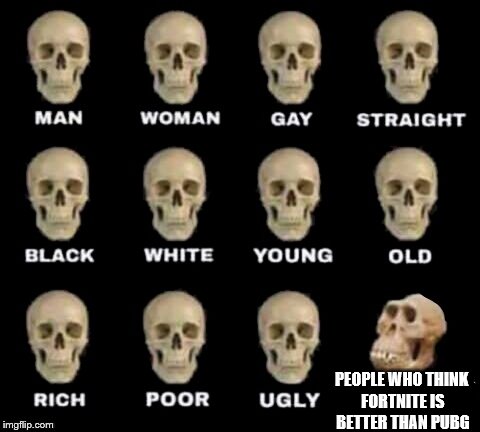 idiot skull | PEOPLE WHO THINK FORTNITE IS BETTER THAN PUBG | image tagged in idiot skull | made w/ Imgflip meme maker