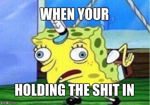 Mocking Spongebob Meme | WHEN YOUR; HOLDING THE SHIT IN | image tagged in memes,mocking spongebob | made w/ Imgflip meme maker