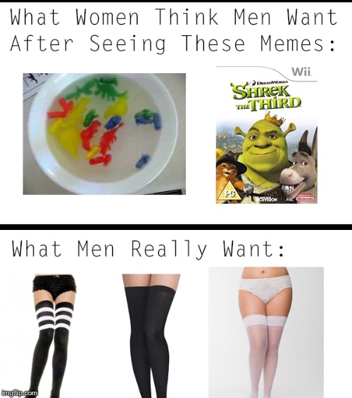 image tagged in switcher oof,what men really want,nsfw,sexy,underwear,panties | made w/ Imgflip meme maker