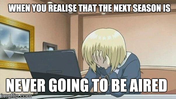 Anime face palm  | WHEN YOU REALISE THAT THE NEXT SEASON IS; NEVER GOING TO BE AIRED | image tagged in anime face palm | made w/ Imgflip meme maker
