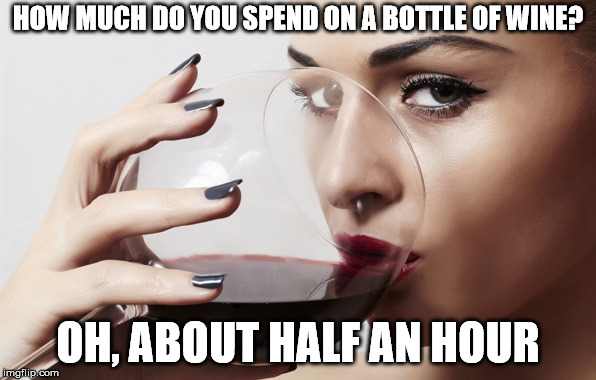 Wine level - expert | HOW MUCH DO YOU SPEND ON A BOTTLE OF WINE? OH, ABOUT HALF AN HOUR | image tagged in memes,wine | made w/ Imgflip meme maker