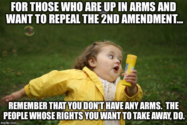 girl running | FOR THOSE WHO ARE UP IN ARMS AND WANT TO REPEAL THE 2ND AMENDMENT... REMEMBER THAT YOU DON'T HAVE ANY ARMS.  THE PEOPLE WHOSE RIGHTS YOU WANT TO TAKE AWAY, DO. | image tagged in girl running | made w/ Imgflip meme maker
