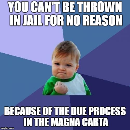 Success Kid Meme | YOU CAN'T BE THROWN IN JAIL FOR NO REASON; BECAUSE OF THE DUE PROCESS IN THE MAGNA CARTA | image tagged in memes,success kid | made w/ Imgflip meme maker