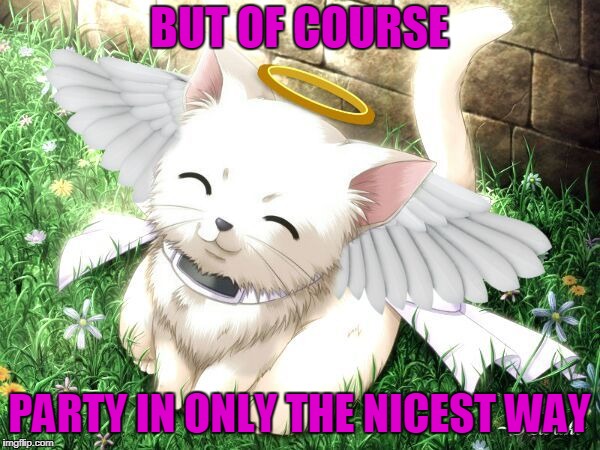 BUT OF COURSE PARTY IN ONLY THE NICEST WAY | made w/ Imgflip meme maker
