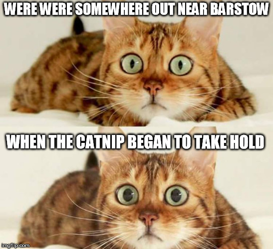 WERE WERE SOMEWHERE OUT NEAR BARSTOW; WHEN THE CATNIP BEGAN TO TAKE HOLD | image tagged in barstow catnip kitty | made w/ Imgflip meme maker