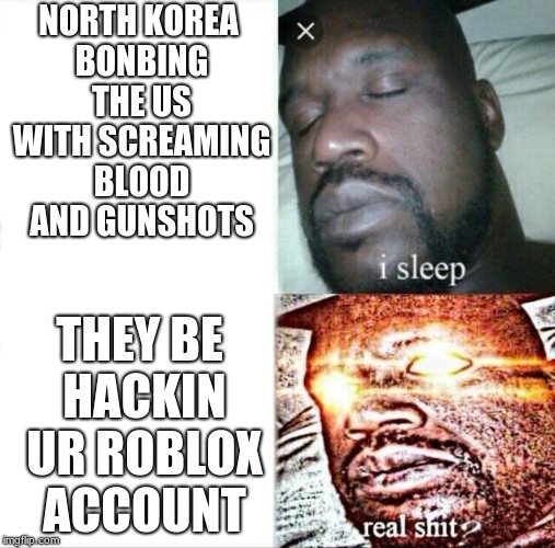 Sleeping Shaq | NORTH KOREA BONBING THE US WITH SCREAMING BLOOD AND GUNSHOTS; THEY BE HACKIN UR ROBLOX ACCOUNT | image tagged in memes,sleeping shaq | made w/ Imgflip meme maker