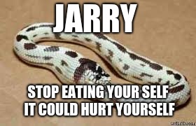 JARRY; STOP EATING YOUR SELF IT COULD HURT YOURSELF | image tagged in funny,stupid | made w/ Imgflip meme maker