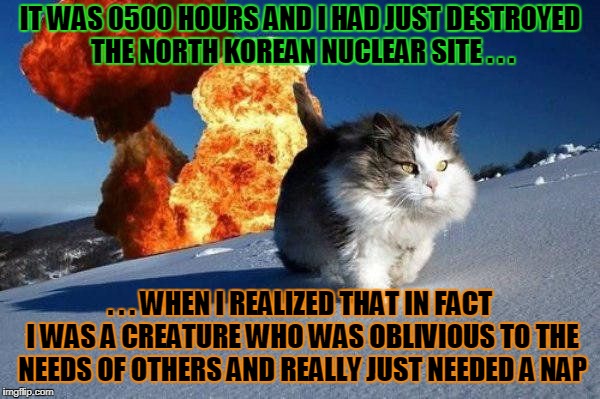 also that I had forgotten to crap in Kim Jong Un's slippers (Cat Weekend, a Landon_the_memer, 1forpeace, & JBmemegeek event) | IT WAS 0500 HOURS AND I HAD JUST DESTROYED THE NORTH KOREAN NUCLEAR SITE . . . . . . WHEN I REALIZED THAT IN FACT I WAS A CREATURE WHO WAS OBLIVIOUS TO THE NEEDS OF OTHERS AND REALLY JUST NEEDED A NAP | image tagged in mission accomplished cat,memes,cat weekend,cats,north korea | made w/ Imgflip meme maker