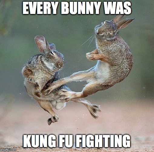 Kungfu Bunnies | EVERY BUNNY WAS; KUNG FU FIGHTING | image tagged in kungfu bunnies | made w/ Imgflip meme maker