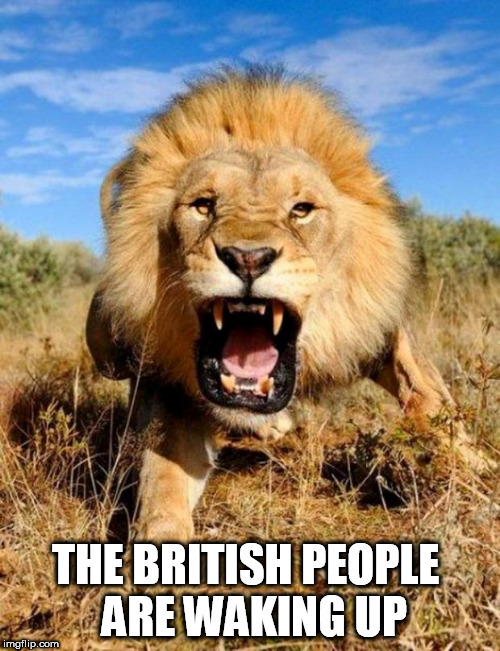 lion | THE BRITISH PEOPLE
 ARE WAKING UP | image tagged in lion | made w/ Imgflip meme maker