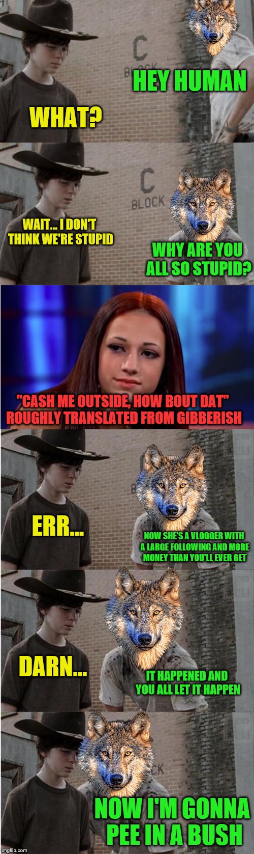 Human weekend- A Buggylememe weekend (12/05-13/05) |  HEY HUMAN; WHAT? WAIT... I DON'T THINK WE'RE STUPID; WHY ARE YOU ALL SO STUPID? "CASH ME OUTSIDE, HOW BOUT DAT" ROUGHLY TRANSLATED FROM GIBBERISH; ERR... NOW SHE'S A VLOGGER WITH A LARGE FOLLOWING AND MORE MONEY THAN YOU'LL EVER GET; DARN... IT HAPPENED AND YOU ALL LET IT HAPPEN; NOW I'M GONNA PEE IN A BUSH | image tagged in memes,rick and carl longer,human weekend,wolf,danielle bregoli,stupid | made w/ Imgflip meme maker