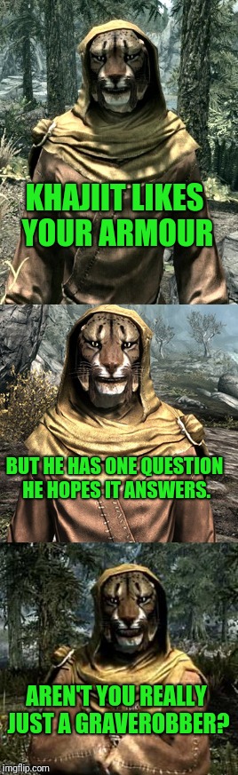 Seriously, dungeon crawling is fun grave robbing | KHAJIIT LIKES YOUR ARMOUR; BUT HE HAS ONE QUESTION HE HOPES IT ANSWERS. AREN'T YOU REALLY JUST A GRAVEROBBER? | image tagged in skyrim | made w/ Imgflip meme maker