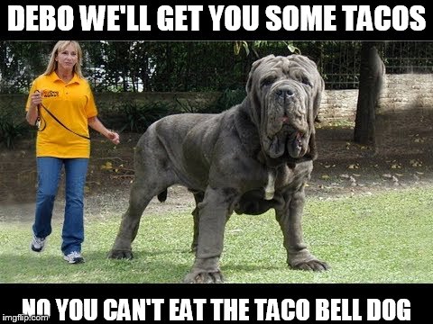 DEBO WE'LL GET YOU SOME TACOS NO YOU CAN'T EAT THE TACO BELL DOG | made w/ Imgflip meme maker