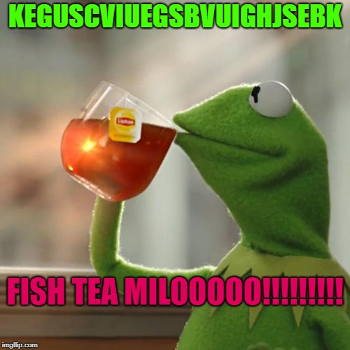 But That's None Of My Business Meme | KEGUSCVIUEGSBVUIGHJSEBK; FISH TEA MILOOOOO!!!!!!!!! | image tagged in memes,but thats none of my business,kermit the frog | made w/ Imgflip meme maker