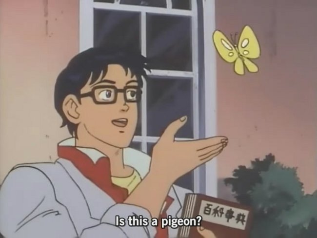 Is this a pigeon? Blank Meme Template
