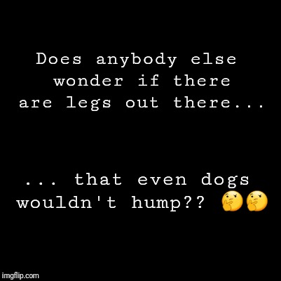 Blank | Does anybody else wonder if there are legs out there... ... that even dogs wouldn't hump?? 🤔🤔 | image tagged in blank | made w/ Imgflip meme maker