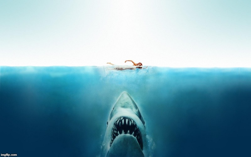 Jaws | image tagged in jaws | made w/ Imgflip meme maker