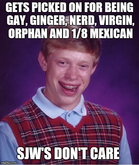 Bad Luck Brian Meme | GETS PICKED ON FOR BEING GAY, GINGER, NERD, VIRGIN, ORPHAN AND 1/8 MEXICAN; SJW'S DON'T CARE | image tagged in memes,bad luck brian | made w/ Imgflip meme maker